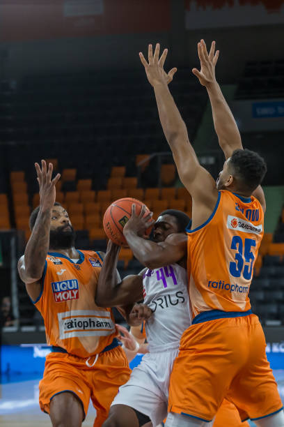 规范评分体 规范评分体