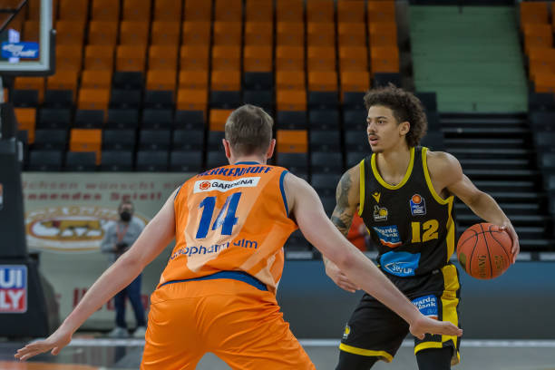 鲜明对比的 鲜明对比的